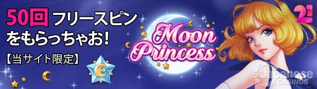 moon princess banner